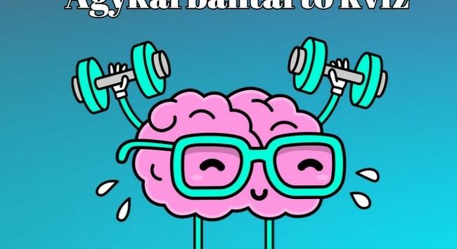 Zsenimágnes - Itt egy agykarbantartó kvíz, mely feldobja a napod!