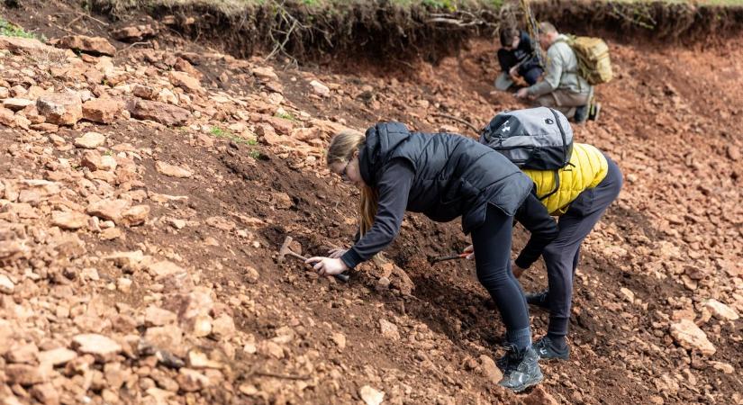 Leesett az állunk: Tardoson bárki találhat 180 millió éves leleteket fotók