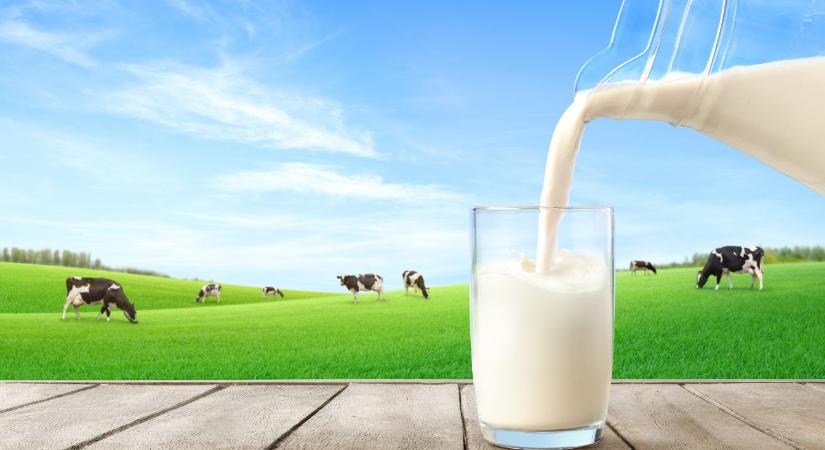 Ez a kötelezettség minden tejpiaci szereplőt érinteni fog