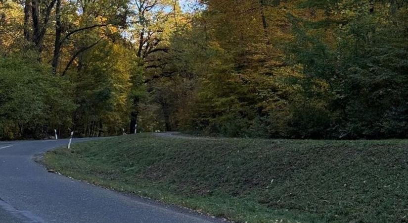 Az orfűi út rendezettebb lett, de így is balesetveszélyes, a játszótereken pedig sok a kullancs