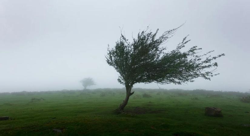 Idegőrlő napok jönnek: figyelmeztet a meteogyógyász, ezt teszi velünk az időjárás