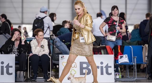 Tragédia, kérdések: Hallgat az állatorvos – Miló Viki kimondta helyette az igazságot