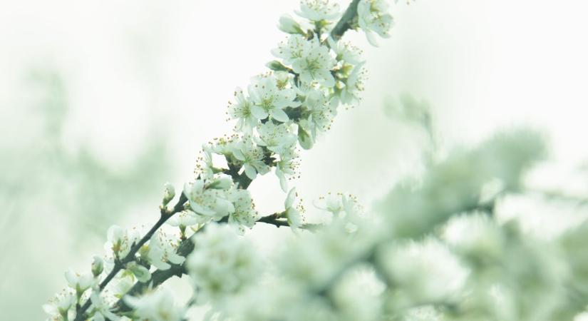 Megérkezett a fordulat a zalai időjárásban – erre nem számítottunk