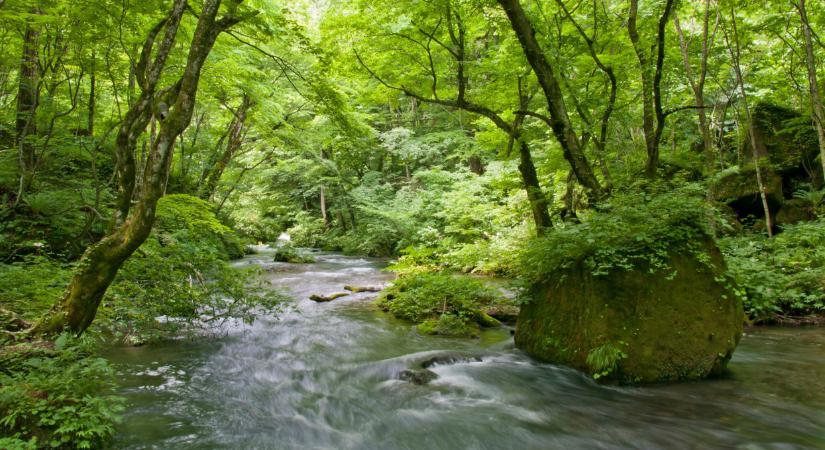 Látványos videón mutatták meg a helyiek: ez a zseniális trükk mentheti meg a vidéket a vízkatasztrófától