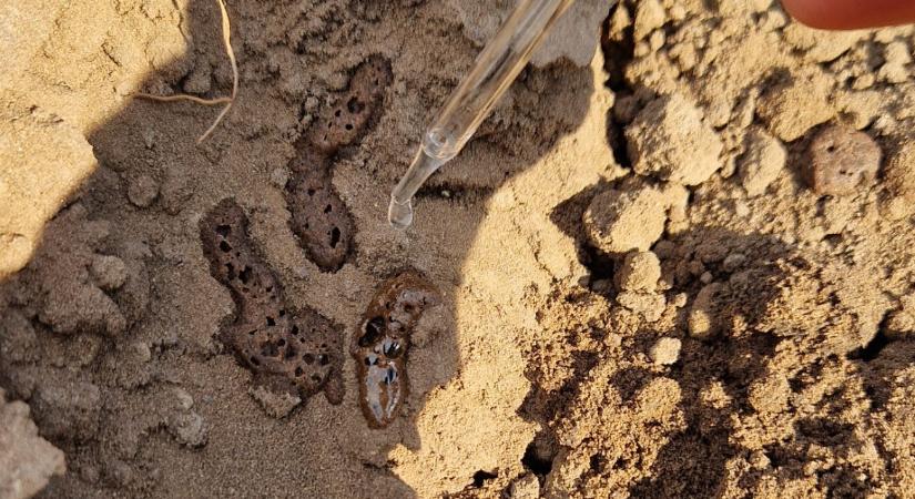 Talajstratégiák V. – Kémiai problémák