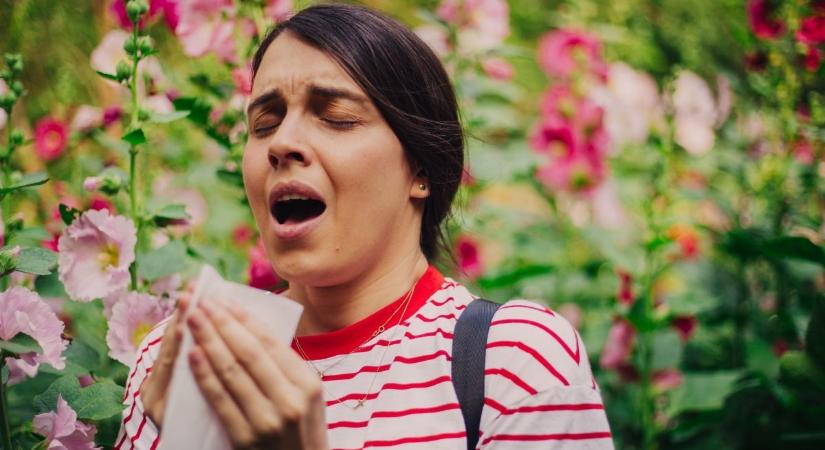 Allergiaszezon – hatékony tippek a tünetek enyhítésére tavasszal