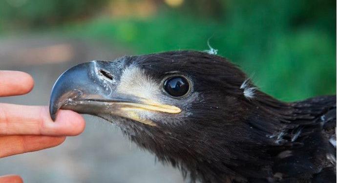 Díjnyertes fotókat láthatunk Debrecenben