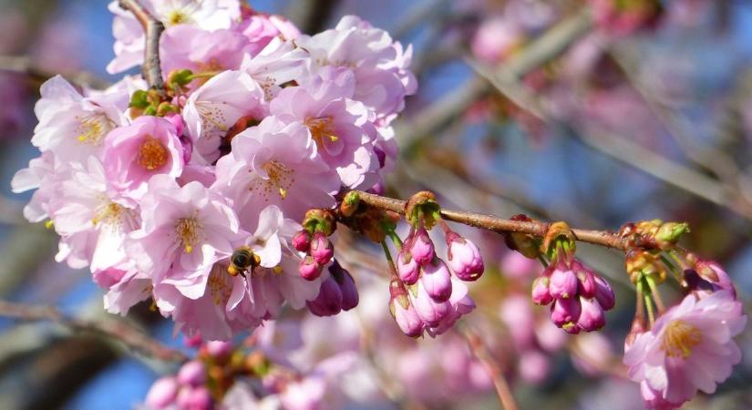 Kettősség jön: nyugaton napos, keleten gomolyfelhős
