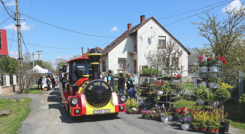 Itt a 22. Herényi Virágút - Mutatjuk a részletes programot