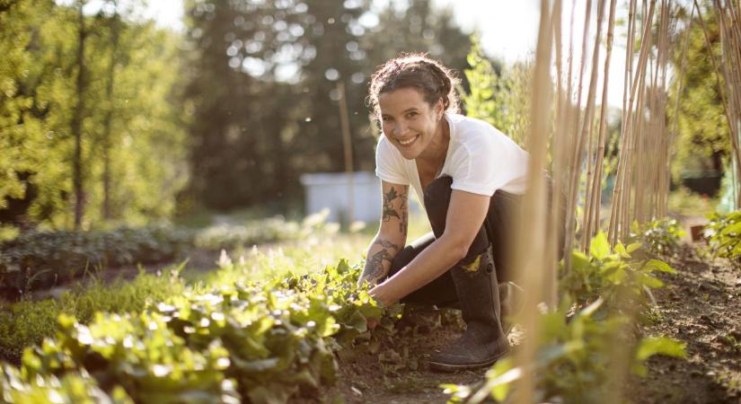 Ez a 3 talajhiba már áprilisban eldönti, mennyi lesz a termésed