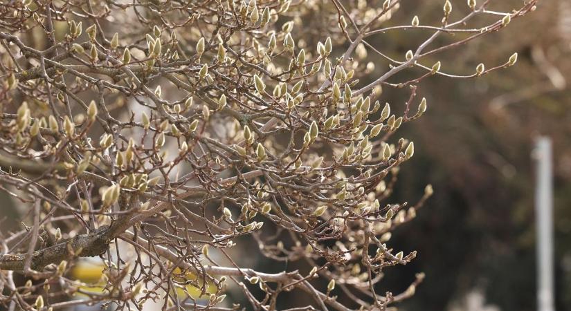 Változékony nap jön a vármegyében a hét közepén, erre számíthatnak Borsod lakosai