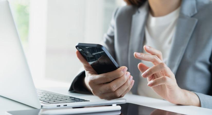 Ezzel az alkalmazással megnézheted, hol számíthatsz NAV-ellenőrzésre