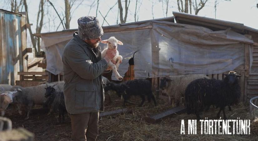 Kinek való a birkanyírás, és kinek nem? – a válaszért Ceglédig kell utaznunk