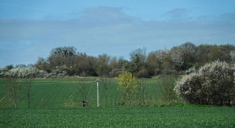 Tavaszi arcát mutatja az idő: széllel és felhőkkel jön a fordulat Veszprémben