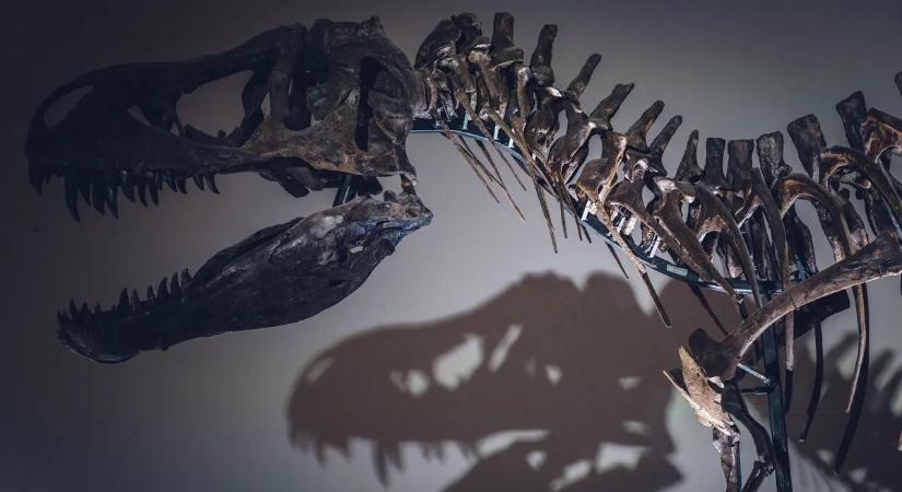 Sokkoló felfedezés: a félelmetes T-Rex valójában dögevő volt?