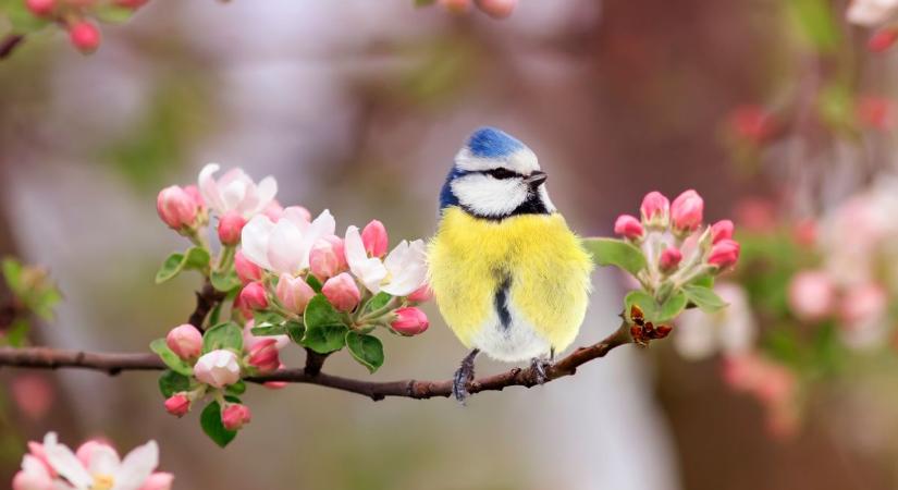 Meglepő fordulat az időjárásban: ezt hozza a holnap