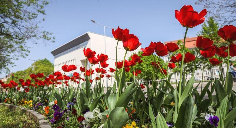 Kiderült: eddig örülhetünk a napsütésnek Baranyában!