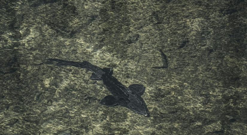 Kreatív technológia: a digitális élmény, amire a közönség vágyik