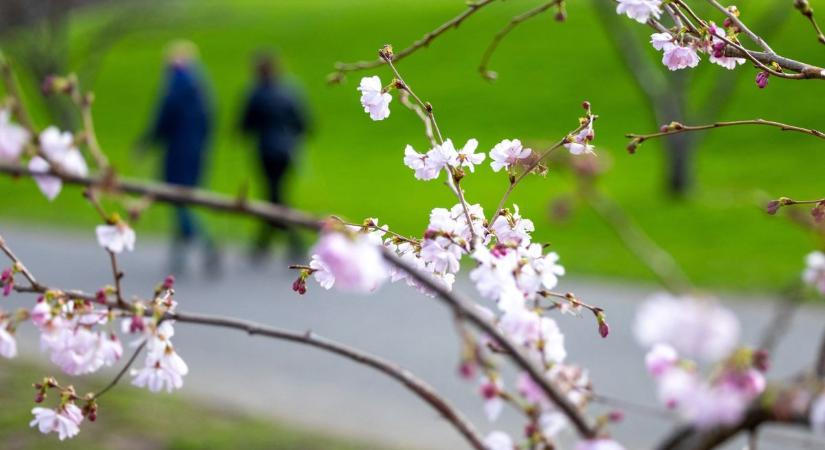 Meglepetéseket tartogathat a szerda: nem minden az, aminek reggel látszik