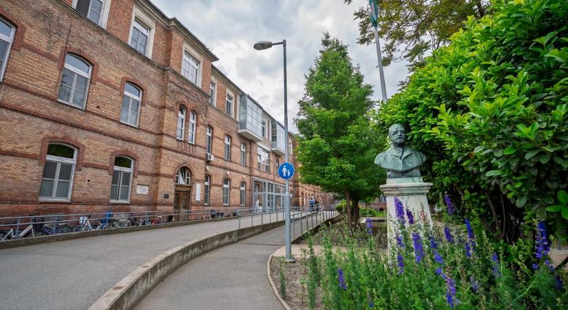 Folyamatos a kórházi ellátás Makón és Hódmezővásárhelyen is!