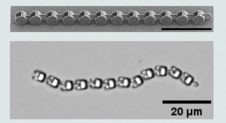 Mikroszkopikus robotot hoztak létre 3D nyomtatással