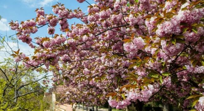 Szeszélyes április - Ilyen Időjárás várható április 8-án, szerdán