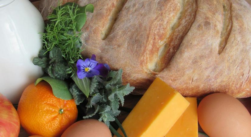 Nyolcmilliárd forint értékű élelmiszert mentettek meg