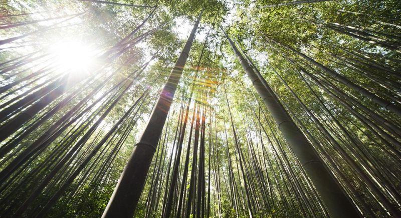 Mínusz 4 fokkal indul a szerda, nappal 16 fok lesz