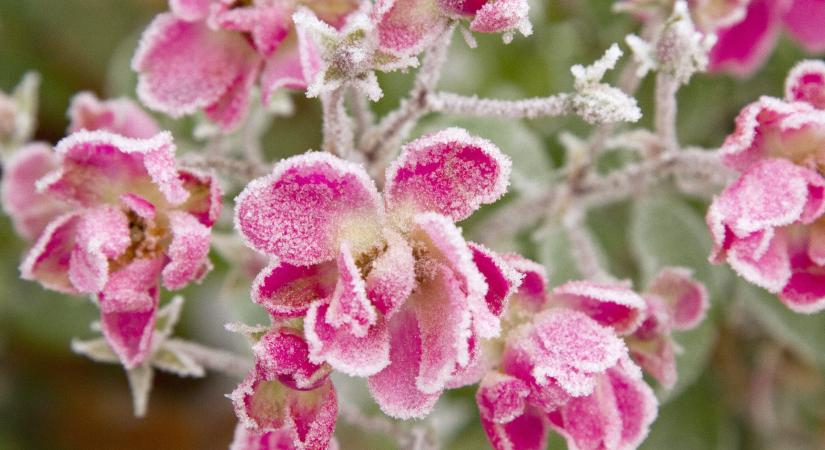 Időjárás: Hideg hajnalok és záporos délutánok jönnek, többfelé visszatérhet a fagy