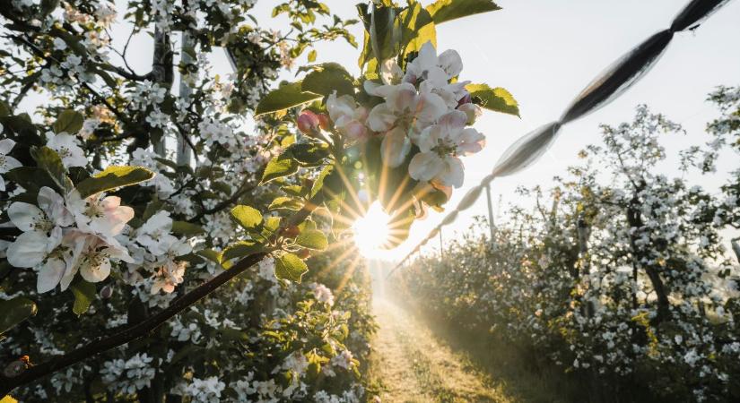3 napos időjárás-előrejelzés: durva változás a láthatáron!