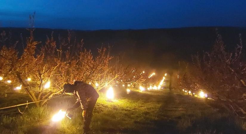 Fagyveszély a gyümölcsösökben - mutatjuk, ilyen idő vár ránk a héten