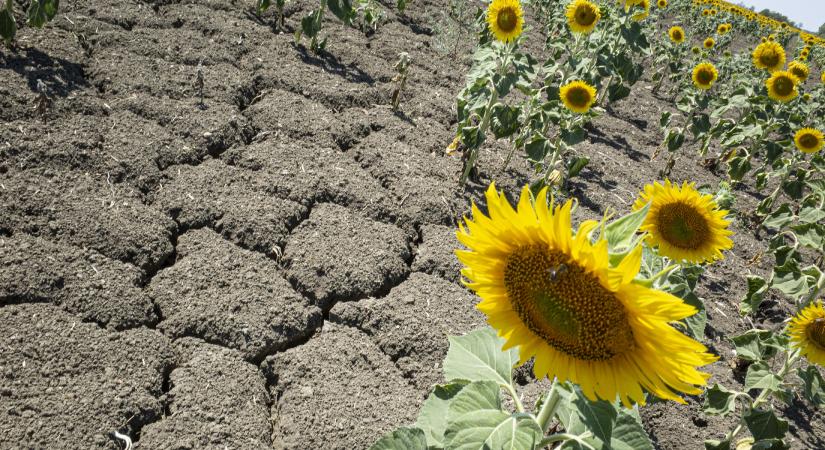 Módosult a klímarendelet – közvetve, de erőteljesen érinti a vállalatok működését