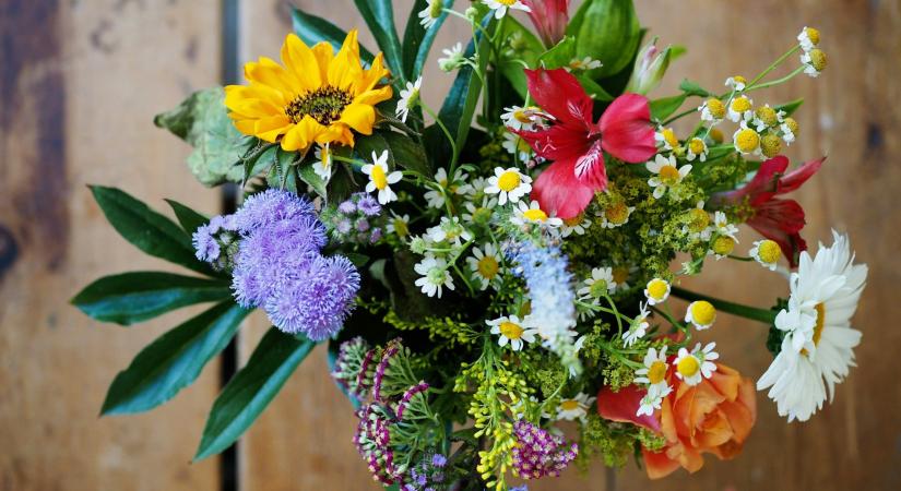 Ma, április 8.: Valter és Dénes névnapja van – Milyen személyiség rejtőzik a név mögött?