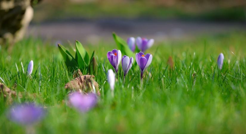 Marad a tavaszi időjárás, ám nem mindenhol lesz felhőtlen az öröm