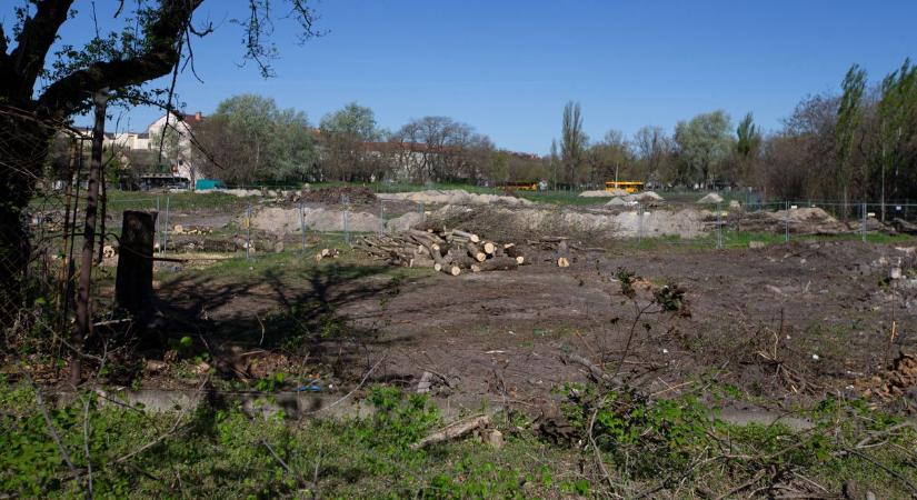 Eltűntek a fák a régi KTE pályáról, így néz ki most a terület – fotók