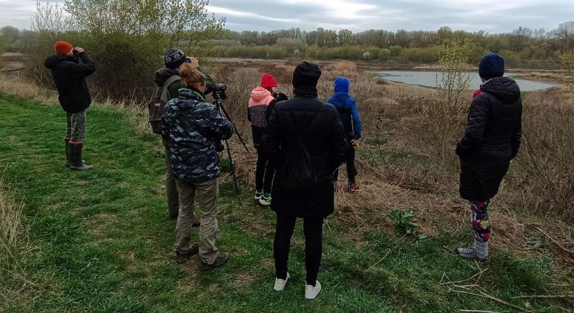 Egykor madarak ezrei éltek itt, ma már szinte nyoma sincs a víznek Szolnokon