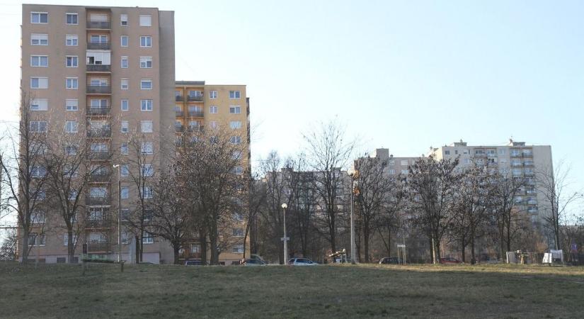 Itt a tavasz, és már meg is jelentek a lakásokban – sokan rosszul próbálnak megszabadulni tőlük