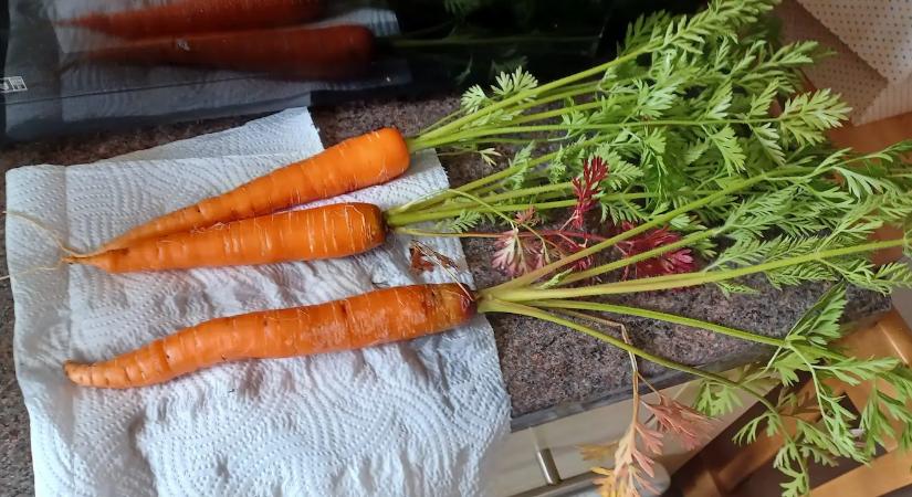 A magyarok a kukába dobják, pedig nagyon egészséges: erre használhatod fel a sárgarépa zöldjét