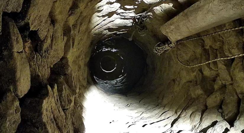 Rejtély a mélyben: Európai ritkaságot hódítanak vissza a Somló-hegyen