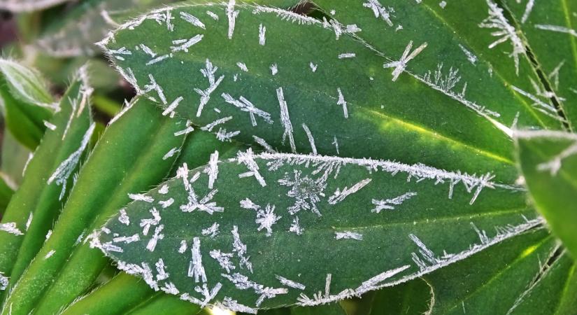 Megint fagyos lett a hajnal