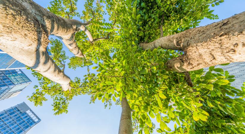 Kimondták a tudósok: egy súlyos félreértés tetézi a durva vízhiányt Magyarországon