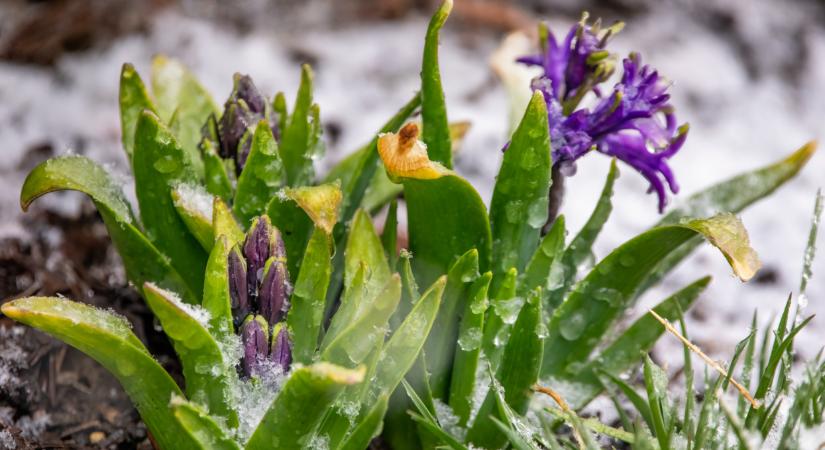 Nem akármilyen hideg érte el Magyarországot: itt már lecsapott a fagy