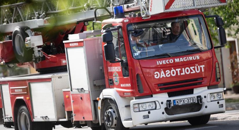 Eldőlt fa, pincét elöntő víz és terjedő lángok – sűrű napjuk volt a zalai tűzoltóknak