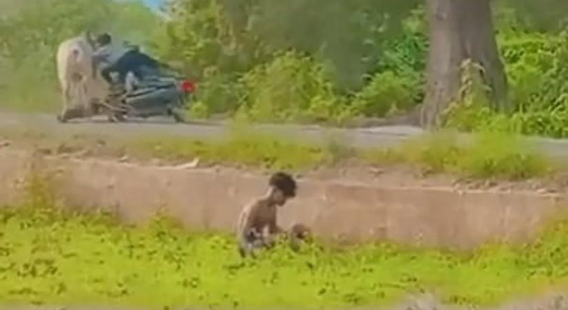 Ezen röhög most az internet – nem csak az úttesten történt baleset