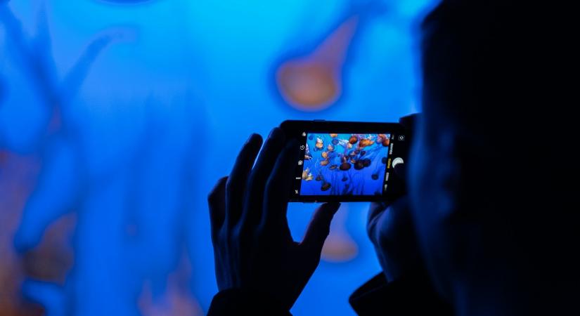 Összefogott a Bethesda a védőnőkkel a képernyőfüggőség ellen