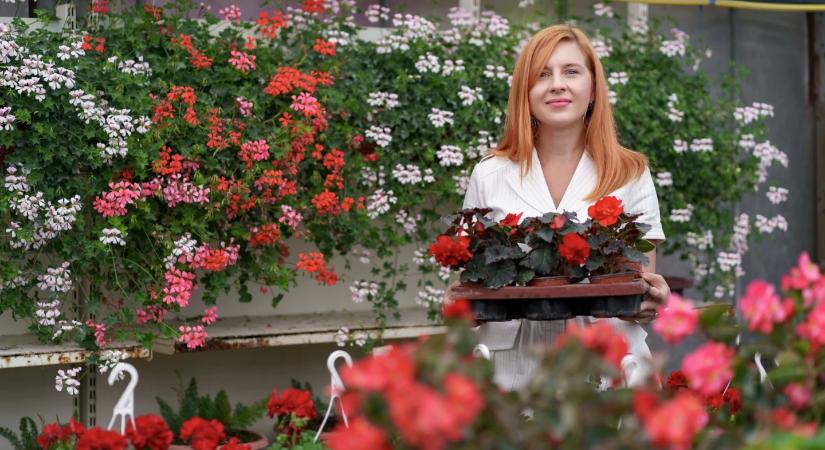 Tavaszi balkon: 8 növény, amit most ültess, hogy azonnal kivirágozzon