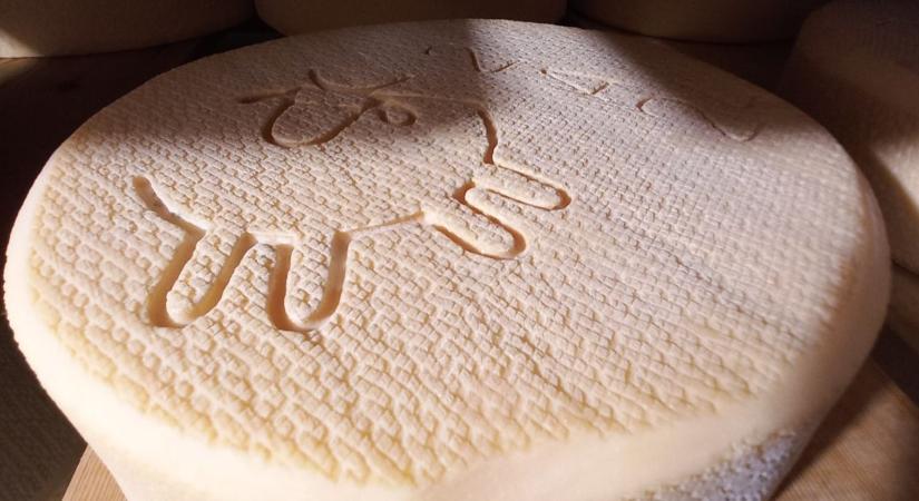 Svájci színvonal a Hargitán: Összefogtak a magyar és az erdélyi sajtkészítők