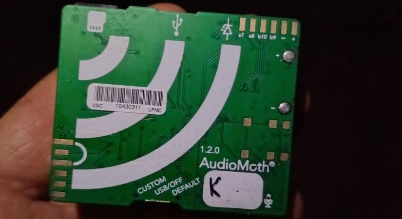 Meglopták a Bakonyi Denevérvédelmi Alapítványt