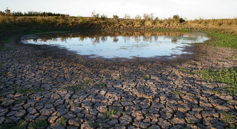Drámai fordulat a hazai tórendszernél: szinte teljesen eltűnt a víz, halakat kellett menteni a mederből