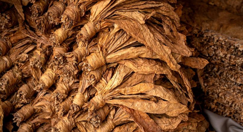 Sötét furgon parkolt a ház előtt Szabolcsban: napok múlva derült ki, tele van illegális cuccal